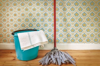 house_cleaning_mop_and_bucket
