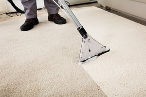 carpet being cleaned