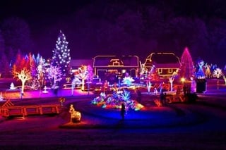 house with Christmas lights