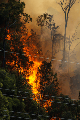 wildfire electrical safety tips