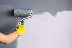 painter painting inside of home with roller