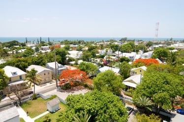 aerial_view_homes_with_trees