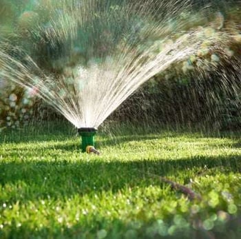 lawn_sprinkler