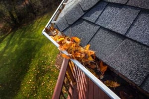 gutter with leaves