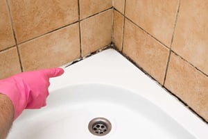 hand wearing pink rubber glove pointing to mold in shower